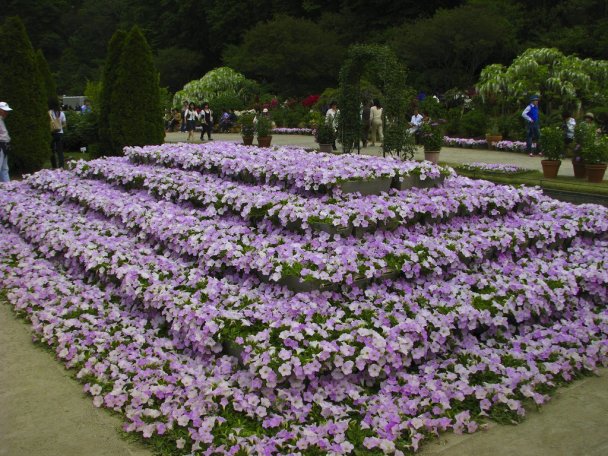 Парк цветов Асикага в 
Японии