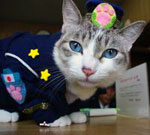 Кот на службе полиции Киото