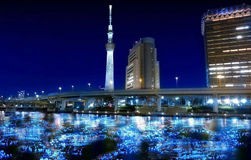 Фестиваль Светлячков в Токио