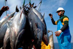 Россия может запретить Японии ловить рыбу в своих водах